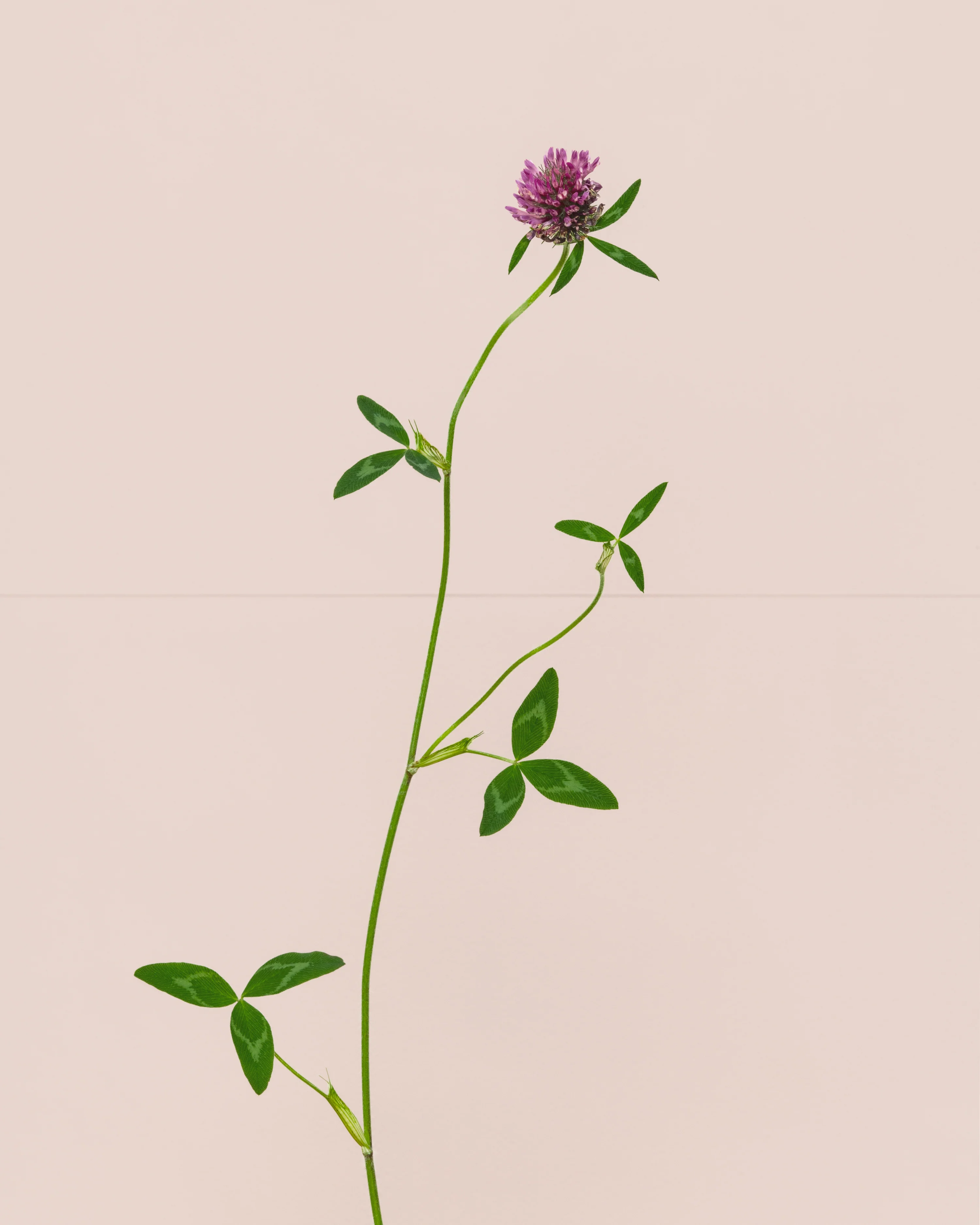 kathryn martin photography